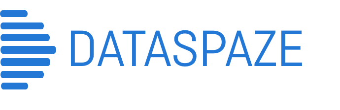 Dataspaze logo